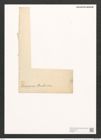 Pleurosigma eximium (Thwait.) (de-Toni-Nr.: Genus 13, Species 1097) Zeichnungen Sammlung Grunow (NHMW-BOT-W0369171)
